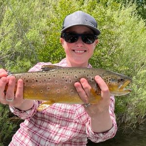 Meet your Posher, Posh